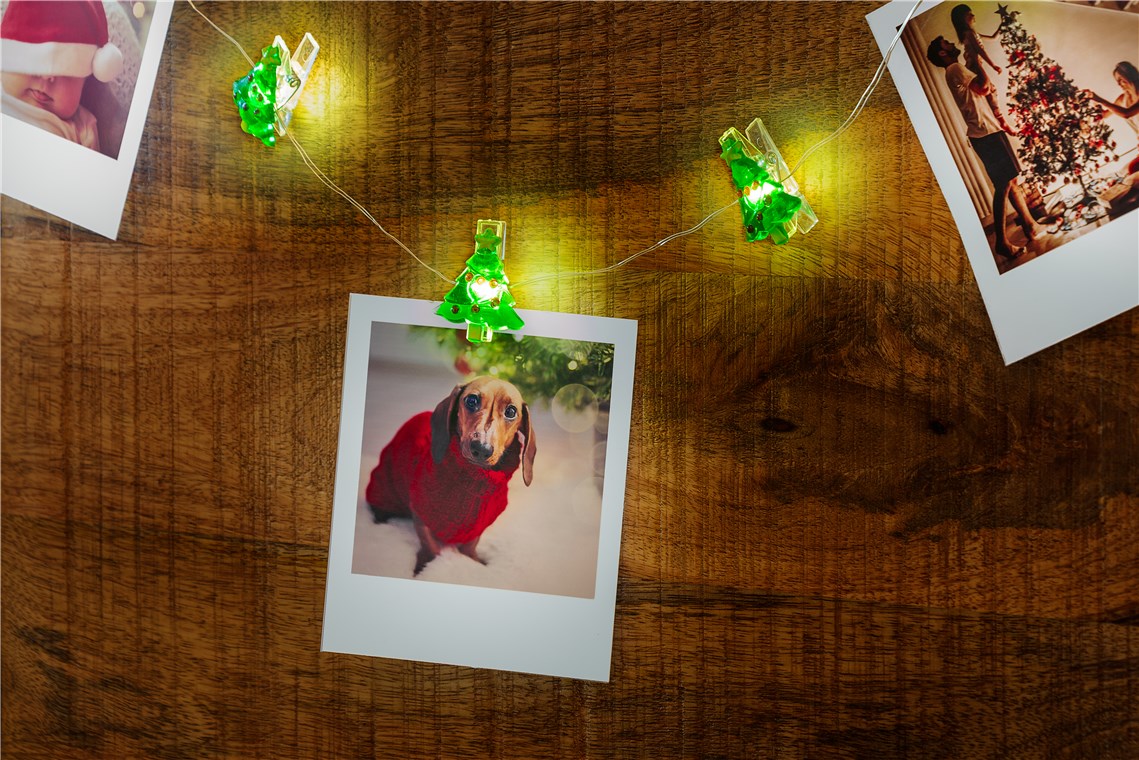 goobay 10er LED Fotoclip Lichterkette mit Wäscheklammern / LED Clips für Polaroidbilder / für Polaroid Bilder zum Aufhängen / Fotoclips Deko / Für 10 Bilder, Grün, Rot, Gelb, Silber, Transparent